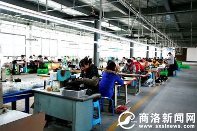 重大項目微掃描:一起了解丹鳳鳳發實業保健鞋、毛坪農業產業園項目