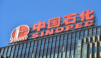 A股77家公司上半年獲政府補貼過億，中國石化成“補貼王”