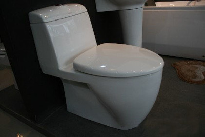 陶瓷衛生潔具八見解 多功能、富于表現力與生命力